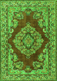 Medallion Green Traditional Rug, tr2626grn