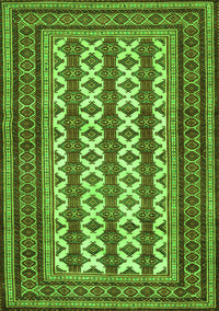 Persian Green Traditional Rug, tr2628grn