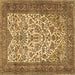 Square Machine Washable Persian Brown Traditional Rug, wshtr2630brn