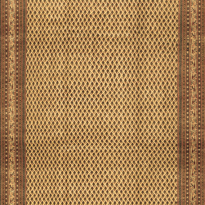 Persian Brown Traditional Rug, tr2636brn