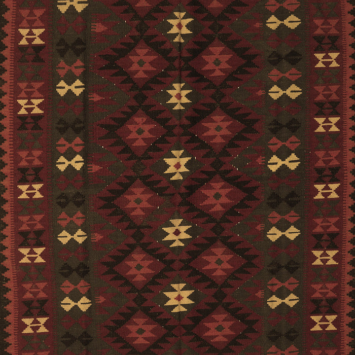 Machine Washable Southwestern Brown Country Rug, wshtr2639brn