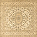 Square Medallion Brown Traditional Rug, tr2642brn