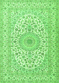 Medallion Green Traditional Rug, tr2642grn