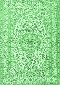 Medallion Emerald Green Traditional Rug, tr2642emgrn