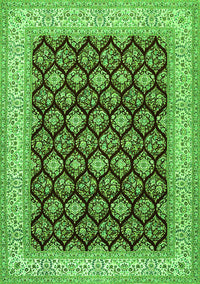 Persian Green Traditional Rug, tr2643grn