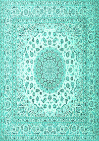 Persian Turquoise Traditional Rug, tr2644turq