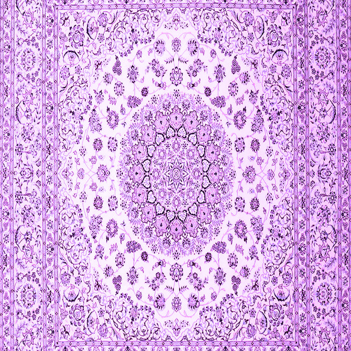 Machine Washable Persian Purple Traditional Area Rugs, wshtr2644pur