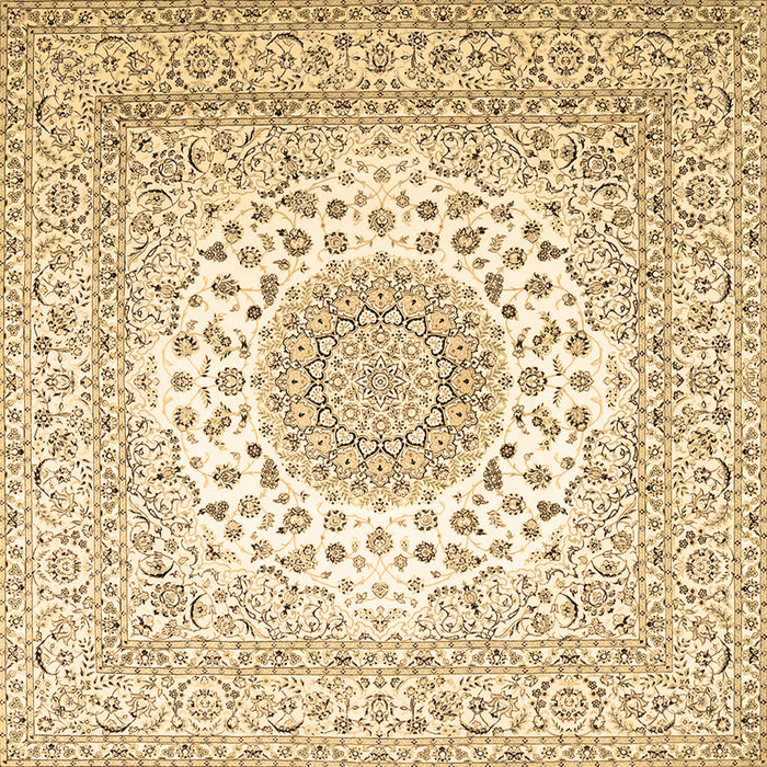 Square Persian Brown Traditional Rug, tr2644brn