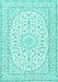 Medallion Turquoise Traditional Rug, tr2647turq