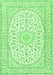 Medallion Green Traditional Rug, tr2647grn