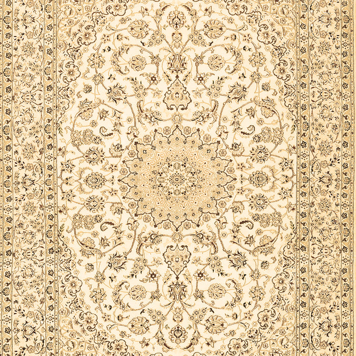 Medallion Brown Traditional Rug, tr2647brn