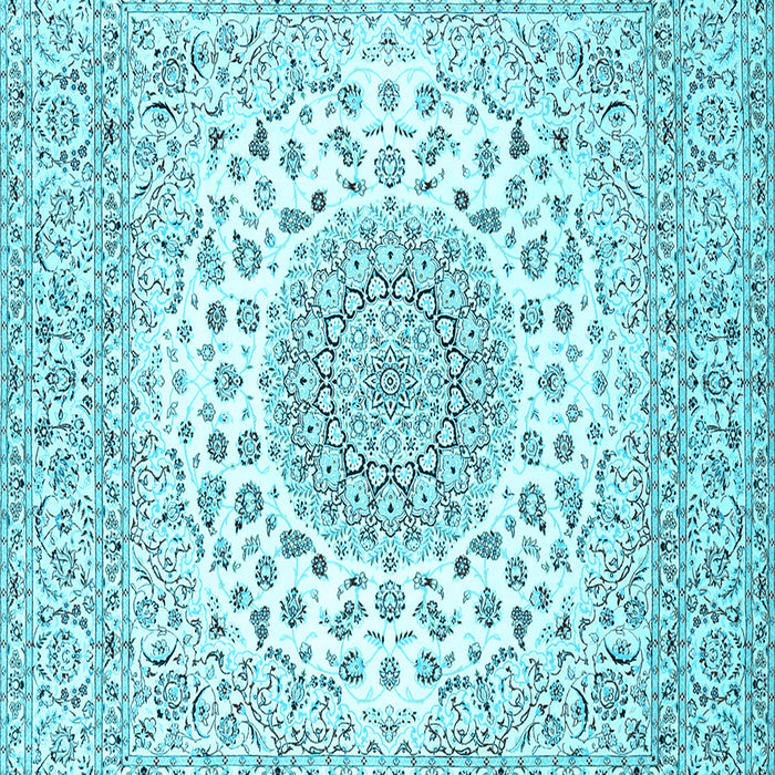 Medallion Light Blue Traditional Rug, tr2648lblu