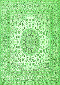 Medallion Green Traditional Rug, tr2648grn