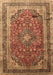 Medallion Brown Traditional Rug, tr264brn