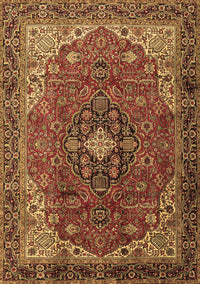 Medallion Brown Traditional Rug, tr2650brn