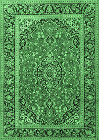 Persian Emerald Green Traditional Rug, tr2652emgrn