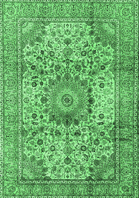 Medallion Emerald Green Traditional Rug, tr2653emgrn