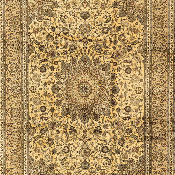 Medallion Brown Traditional Rug, tr2653brn