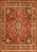 Medallion Orange Traditional Rug, tr2654org