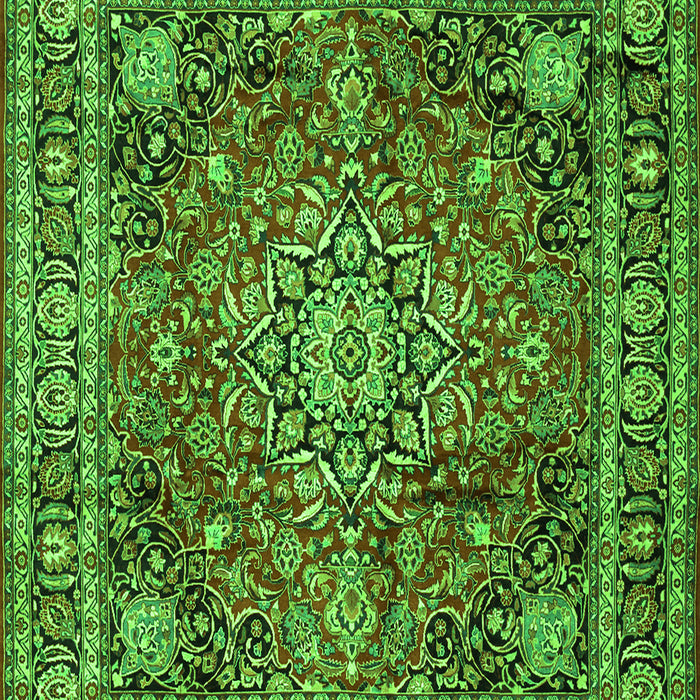 Medallion Green Traditional Rug, tr2654grn