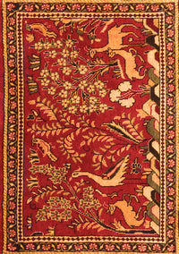 Animal Orange Traditional Rug, tr2655org