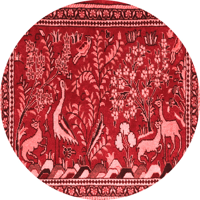 Animal Red Traditional Rug, tr2655red