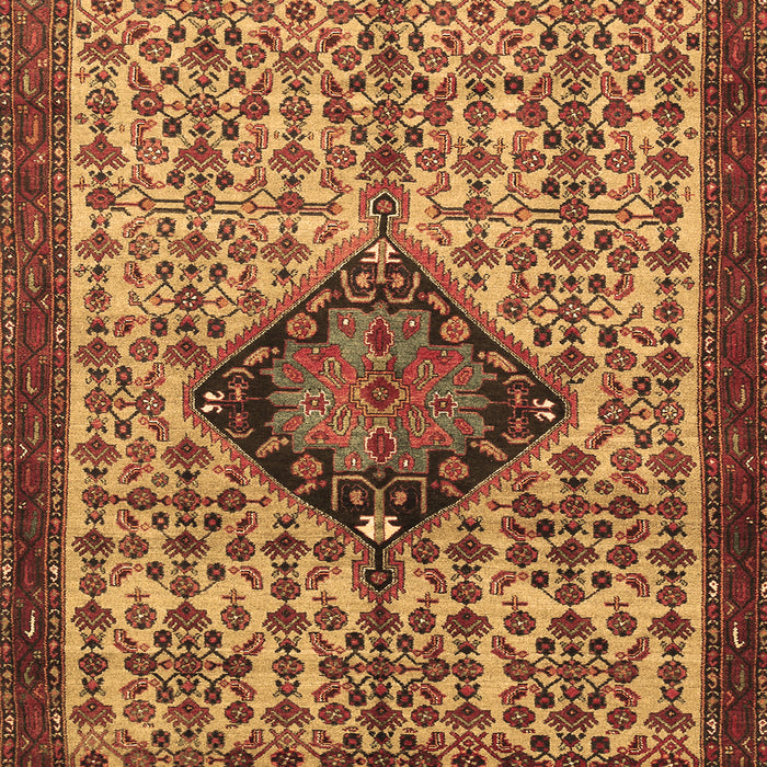 Persian Brown Traditional Rug, tr265brn