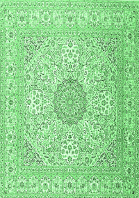 Medallion Emerald Green Traditional Rug, tr2661emgrn