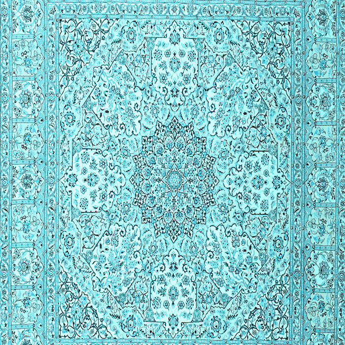 Medallion Light Blue Traditional Rug, tr2661lblu