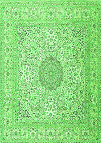 Medallion Green Traditional Rug, tr2661grn