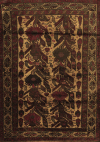 Persian Brown Traditional Rug, tr2668brn