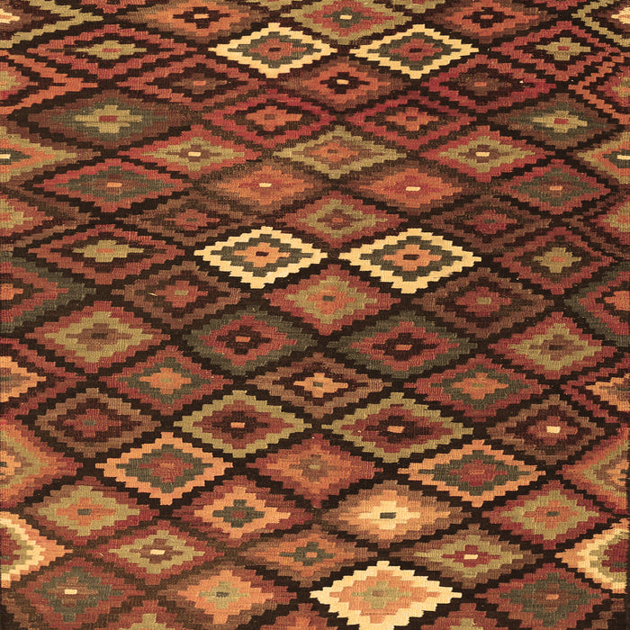 Machine Washable Persian Brown Traditional Rug, wshtr2671brn