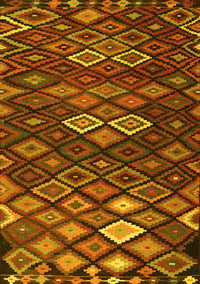 Persian Yellow Traditional Rug, tr2671yw