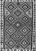 Persian Gray Traditional Rug, tr2673gry