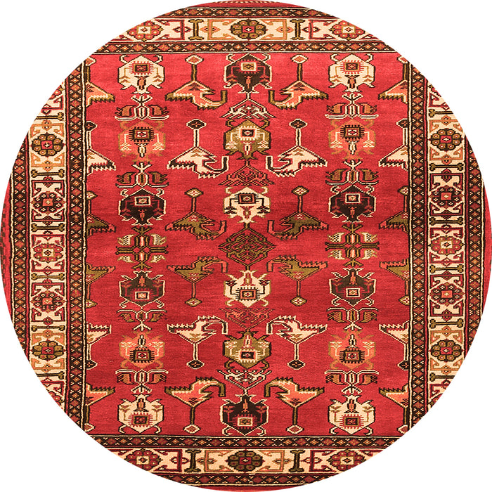 Machine Washable Animal Orange Traditional Area Rugs, wshtr268org