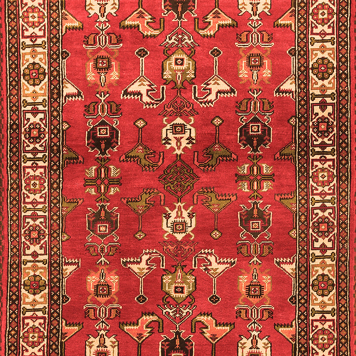 Animal Orange Traditional Rug, tr268org