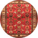 Square Animal Orange Traditional Rug, tr268org