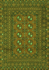 Persian Green Traditional Rug, tr2691grn