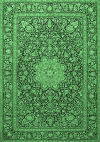 Persian Emerald Green Traditional Rug, tr269emgrn