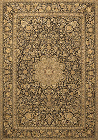 Persian Brown Traditional Rug, tr269brn