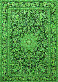 Persian Green Traditional Rug, tr269grn