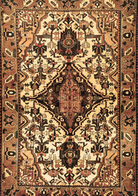 Persian Brown Traditional Rug, tr2702brn