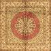 Square Machine Washable Persian Brown Traditional Rug, wshtr2704brn