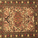 Square Machine Washable Persian Brown Traditional Rug, wshtr2705brn