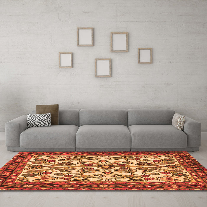 Machine Washable Animal Orange Traditional Area Rugs in a Living Room, wshtr2709org
