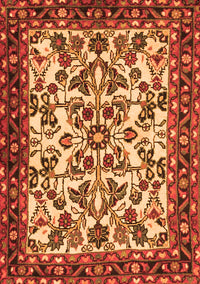 Animal Orange Traditional Rug, tr2709org