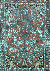 Animal Light Blue Traditional Rug, tr270lblu