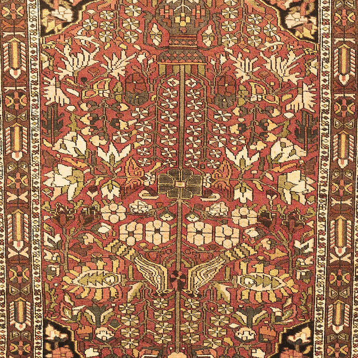 Machine Washable Animal Brown Traditional Rug, wshtr270brn