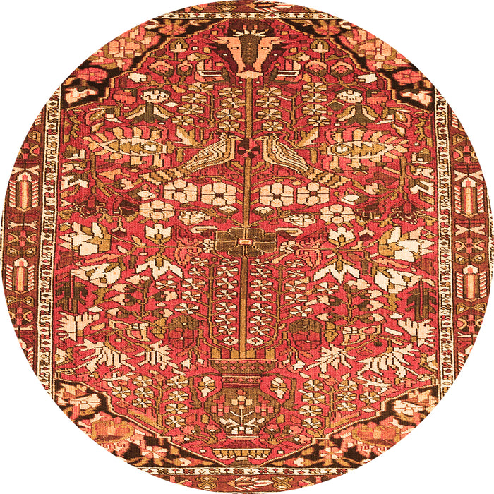 Machine Washable Animal Orange Traditional Area Rugs, wshtr270org