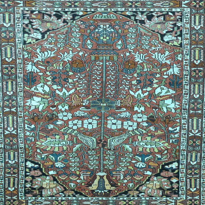 Square Machine Washable Animal Light Blue Traditional Rug, wshtr270lblu